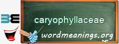 WordMeaning blackboard for caryophyllaceae